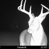 660 AC in Jones Co Texas outside of Abilene Tx