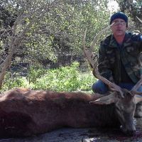 Hog and Exotic Hunting in the Heart of Central Texas Hill Country