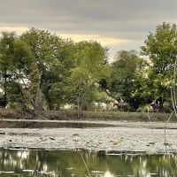 Duck and Deer Hunting