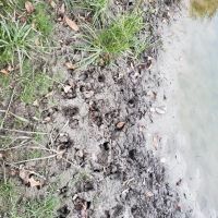 Deer Hunter’s Dream Location - Check out pics!