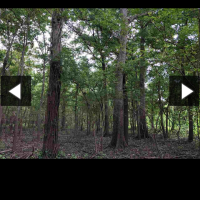 Screenshot 2022-11-05-03-06-21