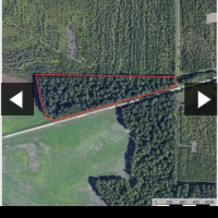14.4 acres of backwoods land in Mississippi Delta located in Delta National Forest