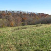 Rolling hills farm ground, mixture hay, pasture and woodlands