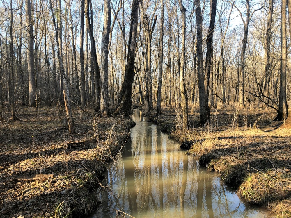 Falling Creek Timberlands-189AC featured image