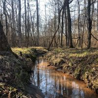 Falling Creek Timberlands-189AC images 2