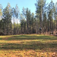 Falling Creek Timberlands-189AC images 4