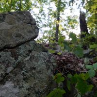 471 Acres US Hwy 59 images 2