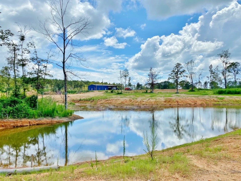 59 Acres Britt Simmons Tanglewood Rd featured image