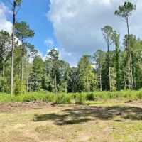 59 Acres Britt Simmons Tanglewood Rd images 4
