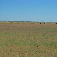 Horseshoe Farms Land and Water images 2