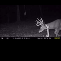 Mill Branch Tract images 2