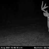 Mill Branch Tract images 3