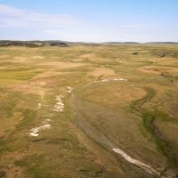 BONE RANCH images 3