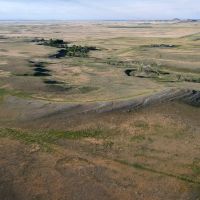 BONE RANCH images 4
