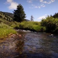 Yellow Jacket Recreational Retreat images 3