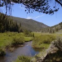 Yellow Jacket Recreational Retreat images 4