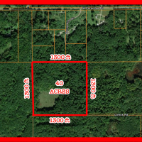 40 Acre in Middleville MI - Great Hunting Property - Benefit from Hunting Access Programm - Comps sold at 400 000 an Up BUY FOR ONLY 197 970 images 3