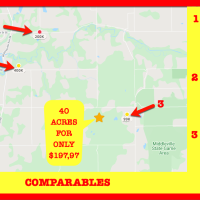 40 Acre in Middleville MI - Great Hunting Property - Benefit from Hunting Access Programm - Comps sold at 400 000 an Up BUY FOR ONLY 197 970 images 4