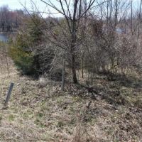 13 acre Waterfront Land Livingston NY images 3