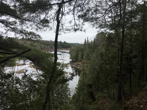108 acres Waterfront bordering State Land featured image