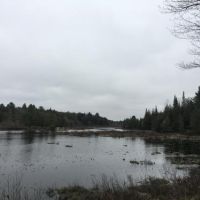 108 acres Waterfront bordering State Land images 3