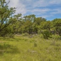 Elm Springs Ranch images 4