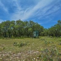 Elm Springs Ranch images 3