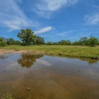 Elm Springs Ranch
