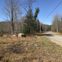 205 acres Timberland and Hunting Land in Fine NY Blue Mountain Lake Road images 2