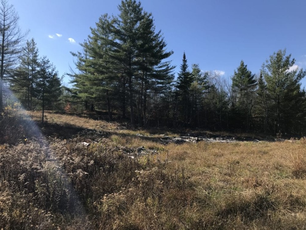 205 acres Timberland and Hunting Land in Fine NY Blue Mountain Lake Road featured image
