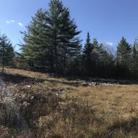 205 acres Timberland and Hunting Land in Fine NY Blue Mountain Lake Road