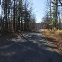 205 acres Timberland and Hunting Land in Fine NY Blue Mountain Lake Road images 4