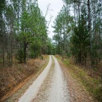 GAT - 3212 North images 4