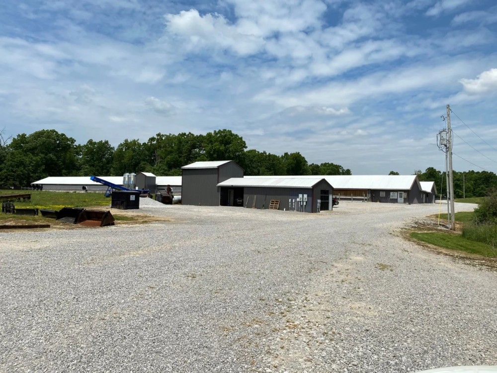 Poultry Breeder Farm with Home For Sale in McCreary County KY featured image