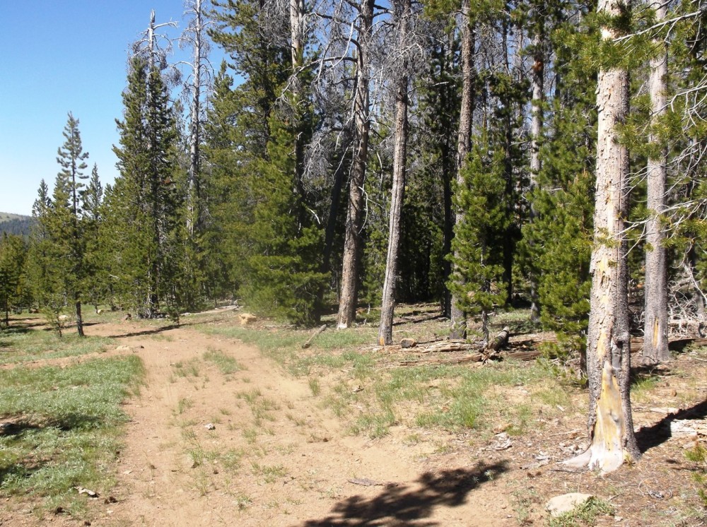 South Central Oregon Mountain Lakes Area Property - Great for Camping featured image