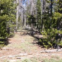 South Central Oregon Mountain Lakes Area Property - Great for Camping images 3