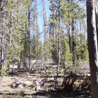 South Central Oregon Mountain Lakes Area Property - Great for Camping images 4