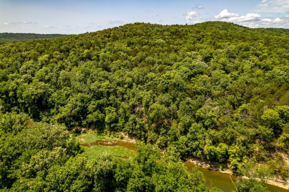 90 - Wooded Hunters Paradise Big Creek Sharp County AR featured image