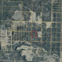 9 ACRES GREAT MOOSE HUNTING ANCHOR PT AK