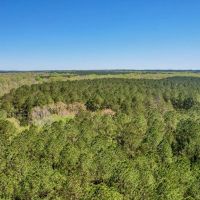 107 Acres Hunting Land for Sale in Amite County MS