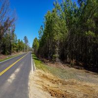 ML - 402 images 2