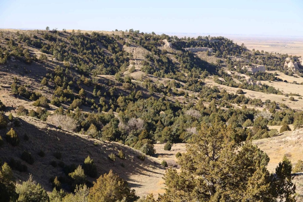 Bumpy Road Ranch featured image