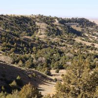 Bumpy Road Ranch