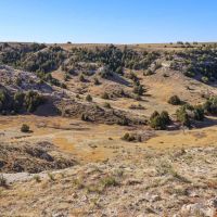 Bumpy Road Ranch images 2