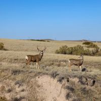 Bumpy Road Ranch images 3