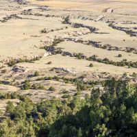 Bumpy Road Ranch images 5