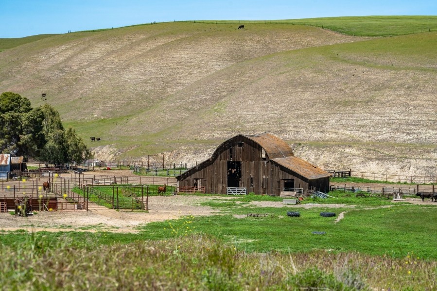 Pritchard Sumner Ranch featured image