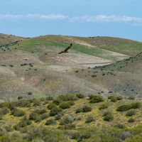 Pritchard Sumner Ranch images 4