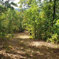 Ozarks Dream 40 images 2