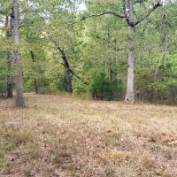 Ozarks Dream 40 images 3